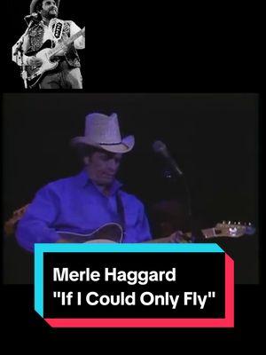 If I Could Only Fly was the 50th studio album by American country singer Merle Haggard, released in 2000. The song is a cover of a 1979 song written and recorded by Texas songwriter Blaze Foley. Hag previously recorded the song as a duet with Willie Nelson on their 1987 album, Seashores of Old Mexico. #merlehaggard #ificouldonlyfly #blazefoley #livemusic #country #merlemonday #haggard #bakersfieldsound #classiccountry #outlawcountry #ificouldfly #thestrangers #hag 