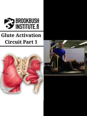 🔴 Glute Activation Circuit Part 1 Video clip from the online course "Gluteus Maximus Activation": The course counts for 1 credit toward the Brookbush Institute certifications and is pre-approved continuing education. Watch the full video and take the course! Go to our profile 👉 @BrookbushInstitute Click on linkin.bio/brookbushinstitute Choose this image 🔵 Brookbush Institute offers: • Certified Personal Trainer (CPT) Certification • Human Movement Specialist (HMS) Certification • Integrated Manual Therapist (IMT) Certification • 180+ CEC-approved courses • Courses on desktop or mobile • 500+ videos & 500+ articles • New features and content added weekly! 🔴 Completing courses and certifications has never been easier, and the quality of courses has never been higher! #humanmovementspecialist #effectivetreatment #athletictrainer #correctiveexercisecertification #fitnesscertification #correctiveexercisespecialist #correctiveexercise #rehab #physicaltherapy #physicaltherapist #humanmovementscience #sportsmedicine #sportsperformance #posturecorrection #performancecoach