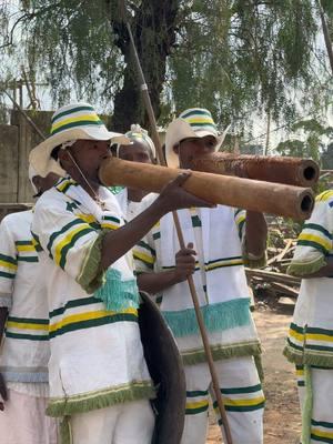 🌴ቲካሻ ቤንጊ🌴 Tikasha Bengi የሸኮ ብሔረሰብ ዘመን መለወጫ እንዲሁም የምስጋና በዓል👏🏼 #ቲካሻቤንጊ #Tikashabengi #Sheko #Bench #Culture #Southculture #Ethiopia #Southwest #Addisababa #ethiopian_tik_tok #fyp 