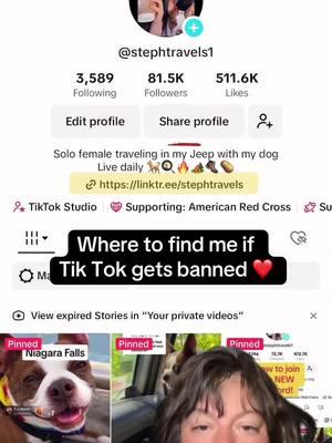 Where to find me if TikTok does go away - also I am so sick today I'm so sorry I won't be able to go live this morning. I need to go get some medicine, the congestion has started and hopefully I'll get better fast. #lookimadeyousomecontent #nomad #whatsthedogdoing #traveler #stephandclover #bostonterrier #traveldog #solofemaletraveler #arizona #stephtravels1 