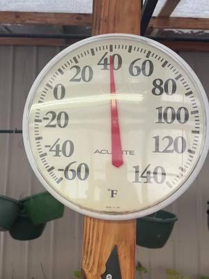 #creatorsearchinsights How to heat a greenhouse #backyardgarden #greenhouse #greenhouseacademy 