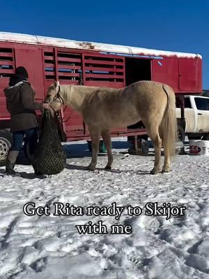 Come get Rita ready for a Skijor race with me! First things first I make sure she has 24/7 access to hay. I travel with a few different sizes of @haychix hay nets. For this trip I put a full bale in a net for Rita’s overnight stay so she could eat any time she was relaxing in her pen. I also brought two half bale nets full of alfalfa hay so she had snacks while traveling and any time she was standing tied. After setting up her hay nets I brush, saddle, and boot her up. SMB and bell boots protect her tendons as well as protect her from clipping her front legs while running full stride. For this first race I also added a rubber bell boot over her no turn bell boots for a little extra protection. After a long slow warm up, we hook up our rigging and get settled in the gate. Once the track is clear and the skier is ready we race down the track in aims of a clean run. For those who follow along with my journey, you’ll notice I decided to Skijor on Rita! She’s been moving incredibly well while legging her up. She does have some scar tissue on that hind leg. That doesn’t seem to bother her so I’ve decided (with the support of multiple professional opinions) to give Skijoring the OK! So you’ll likely be seeing her on the track a few times this season! 🥰🎥 @tmhokens #skijor #horses #winter #sports #equestrian #cowgirl #ski