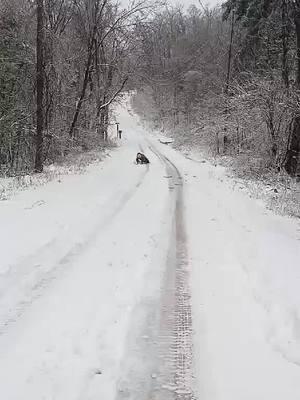 #snowday #middleofnowhere #snowmageddon #2025#sledding 