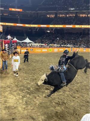 Blessed to get both my bulls rode down here in San Diego, CA! #praisegod #blessed #dreamchasing #g2g #goldbuckledreams #rodeo #onamission #athlete #foryou #fypシ #foryoupage #prorodeo #cowboy #california 