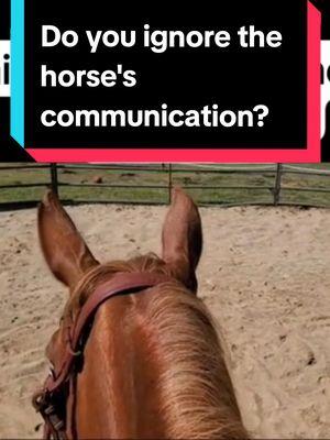 The horse's subtle communication is often ignored and then the behavior that follows is critiqued. The horse will always "tell" you where he will move next.  If the human doed not learn the skills of how to create mental availability to redirect the horse's thought before asking for physical movement, they are left stop, block, driving, and containing unwanted movement.  #alternativehorsemanship #horsebehavior #horsebehaviour #horsres