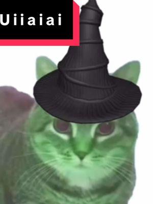 Me tryna put a spell on the government to save TikTok  #wicked #wickedthemusical #broadway #nogooddeed #nogooddeedgoesunpunished #wickedforgood #wickedpart2 #elphaba #elphabathropp #uiiaiouuiiaio #oiiaiiooiiai #tiktokban  #memecat #memecats #spin #u #i #a