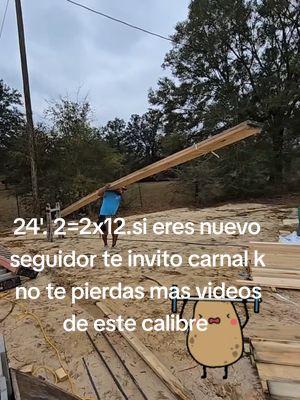 Replying to @canavarro10 #@canavarro10 #teamwork #strong #😀😃😄 #teamwork #quintanaframing #fyppppppppppppppppppppppp #newhome #build #woodwork #carpentry #newhome #build #comercial #frami #viraltiktok #tips #fyp #woodwork #playwood #videosviral #teamwork #teamcanguro #videoviralitiktok #tips #newhome #playwood #build #😀😄😄#roofing #roof #mexico🇲🇽 