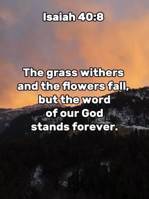 WORD OF GOD STANDS FOREVER #bible #foru #standing #4ever 