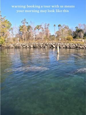 Why just scroll when you can EXPERIENCE this in real life? 🤯 We run guided eco-tours daily! Choose your adventure: paddleboard, single or double kayak, or go all-in with a fully clear kayak for the ultimate view. 🌊   Explore the beautiful Three Sisters Springs and surrounding springs, spot manatees up close, and encounter incredible wildlife in their natural habitat.  Manatee season runs from November 15 - March 31, and trust us — it's the experience of a lifetime. Don’t miss it! 💙  🔗 LINK IN THE BIO #ManateeTours #EcoAdventure #ThreeSistersSprings #ClearKayakExperience