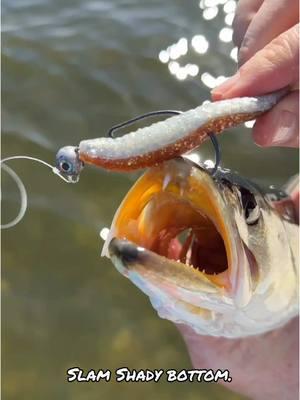 The newest color in our line up is already proving to work!! 💥 The Mud Minnow has a Terd Ferguson top and Slam Shady bottom. So far, the trout are loving it. Coming soon to FishStrong.com.  #saltwaterfishing #inshorefishing #backcountryfishing #fishingtackle #fishinglures #artificiallures #saltstrong #fishingtips #winterfishing #flatsfishing #troutfishing 