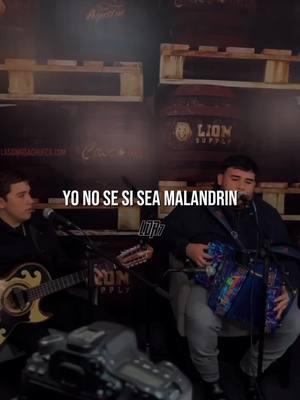 Yo no sé si sea malandrín… #hermanosespinoza #hmnosespinoza #elmalandrin #sergiovega #corridos #corridoschingones #corridosbelicos 