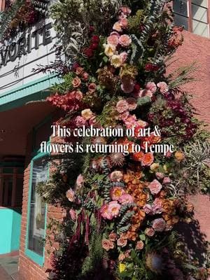 This award-winning, one of a kind event is returning to Downtown Tempe for it's second year on January 25 and 26, 2025, from 10am to 5pm! 🌸 Tempe Blooms is the ultimate celebration of flowers and art. Over the course of two days, there will be 21 real floral displays crafted by local floral designers, 10 mural creations that you can see come to life and watch the artists paint live, over 45 different local vendors at the floral-inspired market that you can shop from, live music and entertainment across 10 locations, and flower-inspired specials offered by some of Downtown Tempe's surrounding businesses. Experience Downtown Tempe while it's temporarily transformed into a stunning floral wonderland. 💐 #tempetourism #tempe #arizona #az #downtowntempe #millave #greaterphoenix #metrophoenix