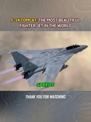 F-14 TOMCAT: THE MOST BEAUTIFUL FIGHTER JET IN THE WORLD! #usaf #fighterjet #usarmy #usmilitary #f14 #f14tomcat