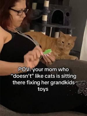 Grandkids are grandkids > #fyp #cattok #catsoftiktok #mexicanhousehold 