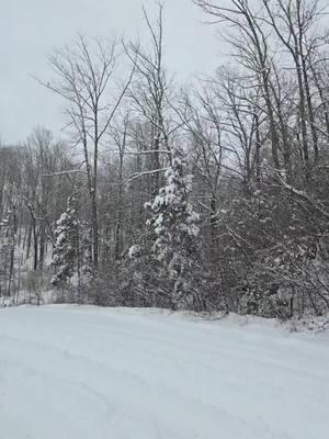 Love snow days! So peaceful! #snowday #carteroffroadpark  #arkansas 