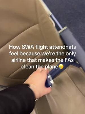 WE WANT CLEANERS 😭 #flightattendantlife #flightattendant#cleaners#aircraft#airline#fa#falife#didyouknow#diduknow#creatorsearchinsights#airlinehacks 