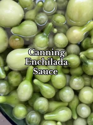 One of my favorite things to keep in the cantry all year around. THE best enchilada sauce you will ever have-  Let me know if you try it!🌮 . . . #homestead #homegrown #homemade #enchiladas #tacos #canningandpreserving #canning #canuary #canningseason #gardening #selfsufficient #homesteadlife 