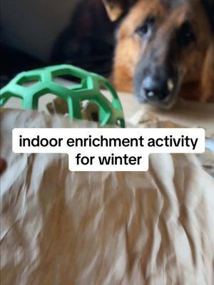 anyone else always looking for new enrichment ideas? 😭  here’s one for you! involved your dog both sniffing and shredding, and is super easy to do for their mealtime. 🤎  #dogenrichmentactivities #dogfood #doghealth 