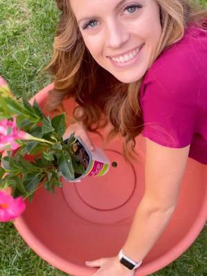 It’s been almost 2 years since I first shared this potting hack and met many of you for the first time! What a ride it’s been. Who’s excited for spring planting season!? #planthacks #pottedplants #pottinghack #fyp #greenthumb 