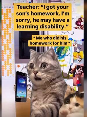 #CapCut #for #foryoupage #cat #catsoftiktok #cats #cattok #catlover #foryourpage #foru #4you #mexico🇲🇽 #usa🇺🇸 #mexico #f #fyp #f #fypシ #school #teacher #homework #kid #kitten #desability #viralvideo #viraltiktok #mom #MomsofTikTok #MomsofTikTok #gatos 