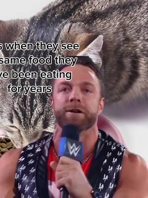 THEY ARE SO HYPED!! #catmemes #catmemesdaily #catmemesforlife #funnycats #funnycatsoftiktok #memes #meme #comedy #funny #fyp #fypシ #WWE #laknight 