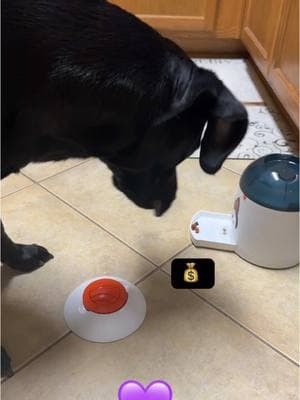 Dog treat dispenser #dog #dogsoftiktok #doglover #dogmom #doglife #dogtrick #dogtreat #tiktokshopfinds 