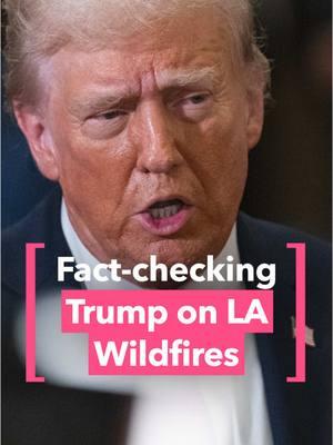 Donald Trump‘s latest misinformation target has been the devastating LA wildfires. #donaldtrump #hollywood #wildfire #planeta