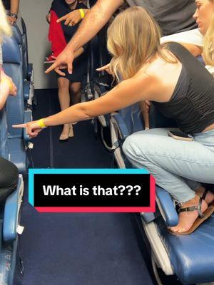 An unknown creature is loose on this flight and passengers are terrifyed. 😳 #flight #flightattendant #scsry 