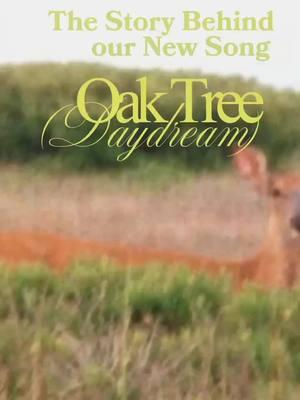 The story behind our new song ‘Oak Tree (Daydream)’ #newmusic #daydream 