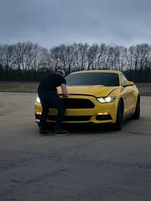 I think I need a Whipple under the hood 💛 #s550 #mustang #s550only #s550mustang #s550nation #stangs#fordperformance #fordbuilttuff #fordmustang #mustanggt #mustangfanclub #mustangnation #mustanglife #mustangmagazine #fordmustanggt #mustangaddicts #mustangclub #mustangsaddiction #mustangmonday #ford #mustangram #mustangcobra #mustangsonly #cars