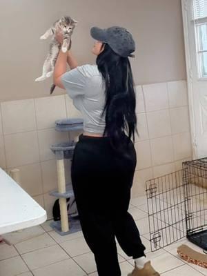 🐾 Cleaning time for our foster kittens! 🐱💕 #FosterKittens #CatCare #CleaningRoutine #foster #pets #PetsOfTikTok #fyp #catsoftiktok #petlover #clean #CleanTok #catsoftiktok #kitty  Feel free to modify it to fit your style!