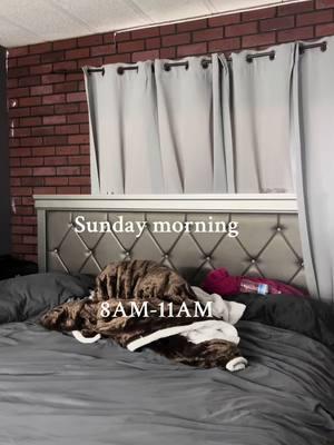 Sunday mornings 💖✨  • • • #cleaninghacks #cleaningmotivation #cleaningmode #cleanwithme #cookwithme #sahg #nonaesthetic#nonaesthetichome #relatable #paratiiiiiiiiiiiiiiiiiiiiiiiiiiiiiii #cleaningmotivation #cleanwithme  #dancingsponges #sahg  #stepmom  