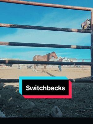 First day with switchbacks for Sage #rockinkhorses #sage #redroanhorse #redroanmare #strawberryroan #strawberryroanmare #roundpen #roundpenwork #roundpentraining #horsetraining #coltstarting #switchbacks #SpringervilleAZ #Arizona #azhorselife #FNX #FNXelite #fnxfit #fnxambassador #hygainfeeds 