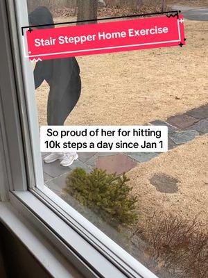 I couldn’t let her keep freezing outside just to get her steps in so I got her this stair stepper she can use anytime inside!! #stairstepper #stepper #homeworkout #newyearsresolution #stayfit #ministepper #TikTokShop #fyp 