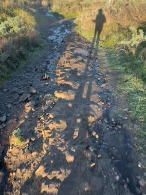 Love a good trail run 🏃🏻‍♀️♥️🫶🏽  #tomalespoint #trailruns #trailrunning #cardiowithviews #runningmiles #solotravels #bodegabay 