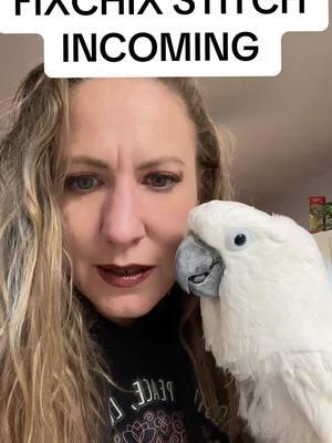 #stitch with @samanthaandthebirds her gofundme and links are in her bio🥰#birdsoftiktok #community #Love #bettertogether #fyp #goodvibes #parrotsoftiktok #avianvet 