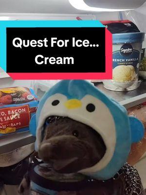 I don't care what the shop keeper said, this gear does not improve cold resistance ❄️🍦🐭❄️ #sirmousecot #icecream #ice #cold #imfreezing #coldresistance #gamelogic  #penguinhat #penguin #whimsy #shenaningans 