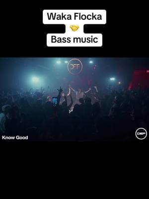 DEF! #bassmusic #edm #fyp #dubstep #tiktokban #hiphop 