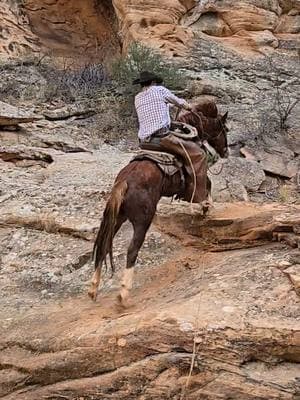 Slick ground #horsesoftiktok #mustanghorse #horse #blmmustang #horse #cowboy #fyp (Performed by Professionals) 