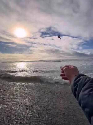 Some of the magical things you may find on the beautiful Oregon coast say hello to my Dungeness crab #dungenesscrab #beachvibes #oceanwaves #magic #fyp #pnw #kingtides2025 #beautiful #nature #oceansideoregon #CapCut #views this video was filmed yesterday afternoon at Oceanside, Oregon I was trying to use my magical crab fingers. Hope it worked. 