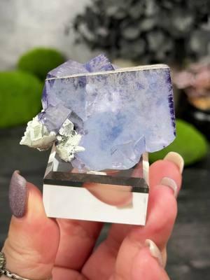 Incredible Yaogangxian lot.. Available on this weekend’s lives.. 👀 Friday, Jan. 17th @ 7 PM CT Saturday, Jan. 18th @ 1PM CT #fluorite #ygxfluorite #collectorfluorite #minerals #mineraltok #crystaltok