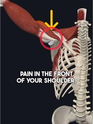 🙋🏽‍♂️Can’t get rid of the pain in the front of your shoulder? Try this! Get my proven 3-phase Shoulder Blueprint in my profile link! #shoulderpain #rotatorcuff #physio 