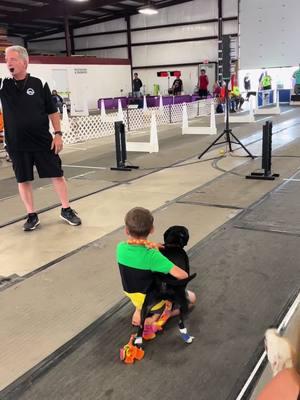 Going for greatness! This was Dax and Jumpshot playing at our flyball tournament in Escanaba, MI over the summer. Can’t wait to get back in the lanes in a couple weeks! #flyball #flyballdogs #flyballdogsoftiktok #staffybull #staffybullterrier #sbt #dogsoftiktok #dogsofttiktok #kidsanddogs 