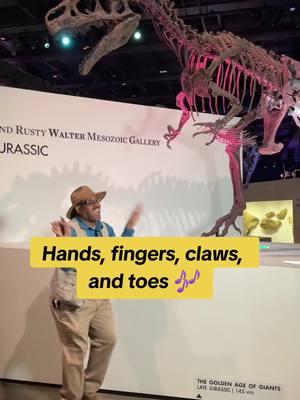 Hands, fingers, claws, and toes🎶 James Washington III explains the differences and similarities of prehistoric hands and feet through time #paleontology #fypシ #houstonmuseum #museumtok 