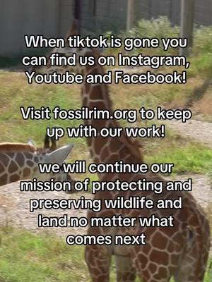 Don’t be strangers!! Look for Fossil Rim Wildlife Center on your favorite social media!  #fossilrimwildlifecenter 