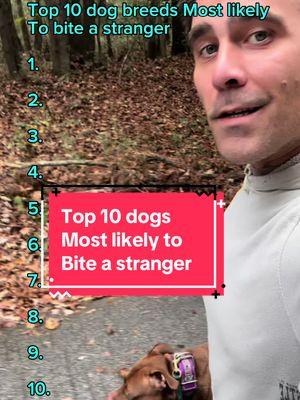 #top10 #dogs most likely to #bite a stranger 