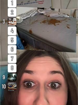 “Is that shiet? 💩” #ranking #rankingbeds #rankingstuff #rank #beds #fyp 