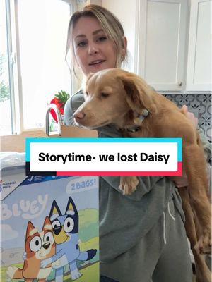 She is our grief emotional support dog, if anything had happened to her…😣 #lostdog #founddog #daisy #storytime #fyp 