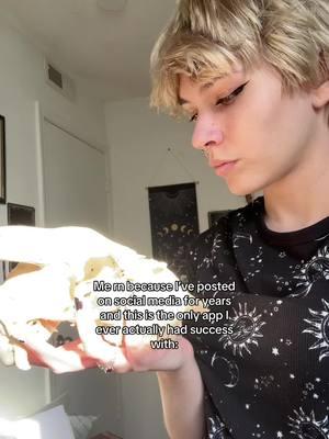 (dramatic rant incoming lmao) I finally have a community of other bone collecting weirdos, had the most success with my small business EVER, found joy in content creation… it’s less about losing a silly little video app for me and more about losing a community. But if you’ve been here, watched my videos, supported ZerosCurioCabinet, or anything else, thank you 🖤 I’ll be active in other places (YT and IG for now), but as for the future of this app, I will still post until I can’t. I’ll still be in the hobby, so regardless of where I see you again, I hope it’ll be sometime soon. Love you guys 🖤 #odditiesandcuriosities #bonecollector #vultureculture #odditytok 