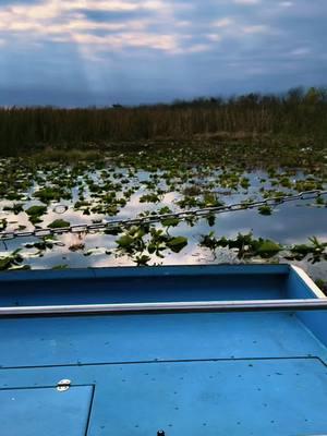 #florida #everglades #boat #fanboat #vacation #foryoupage @Kelsie @Robbi_hutchins55 